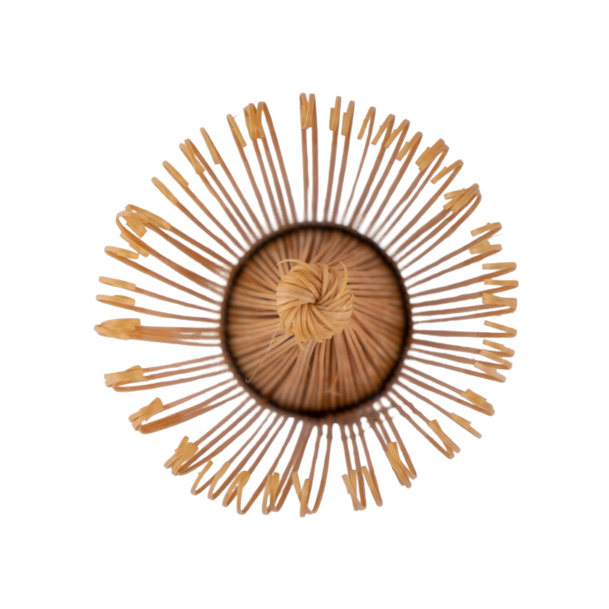 Bamboo Matcha Whisk | Chasen | 100 Prong