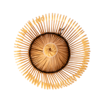 Bamboo Matcha Whisk | Chasen | 120 Prong