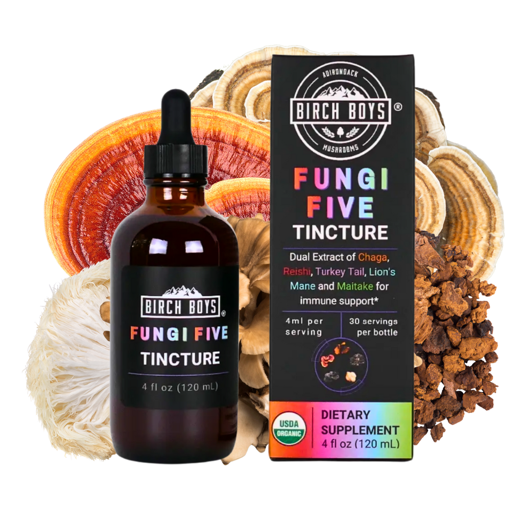 Fungi Five Multi-Mushroom Dual Extract Tincture | Birch Boys
