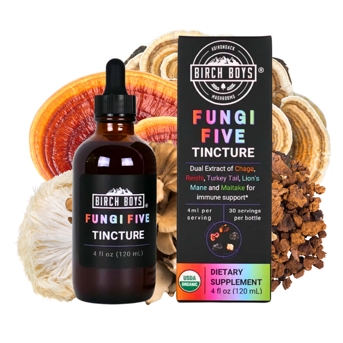Fungi Five Multi-Mushroom Dual Extract Tincture | Birch Boys