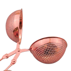 Stainless Steel Tea Strainer