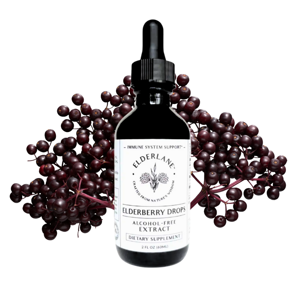 Sugar Free Elderberry Drops | 2 oz