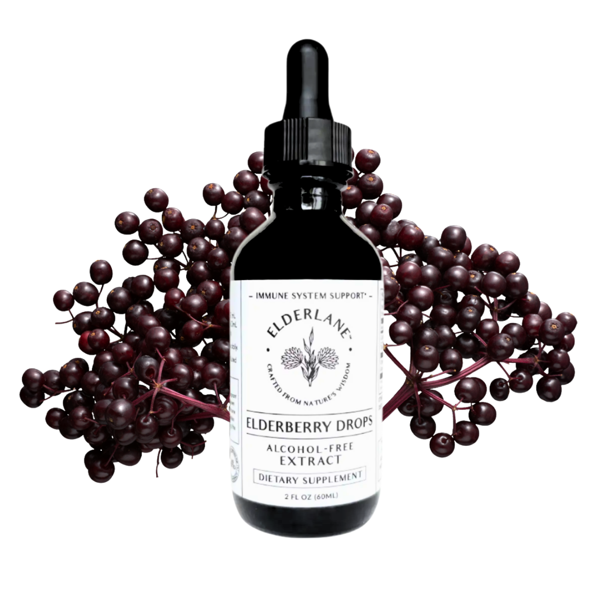 Sugar Free Elderberry Drops | 2 oz