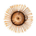 Bamboo Matcha Whisk | Chasen | 80 Prong