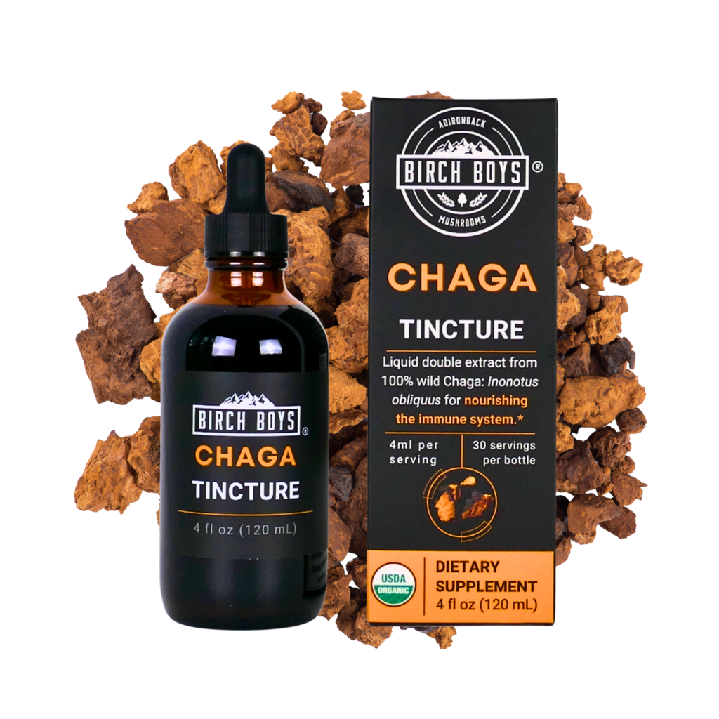 Organic Chaga Dual Extract Tincture | Birch Boys