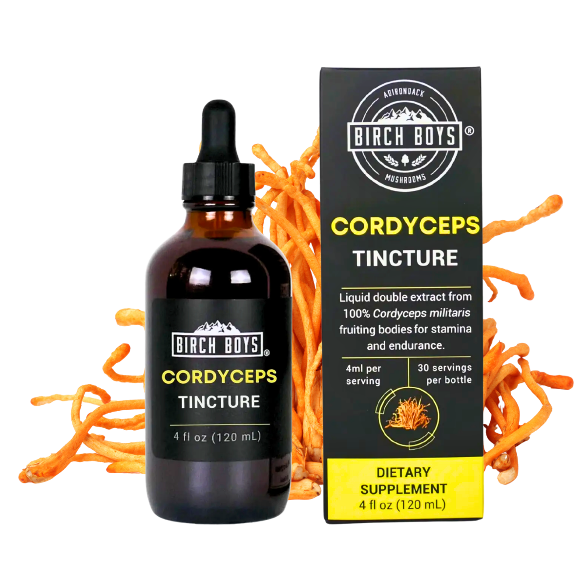 Organic Cordyceps Dual Extract Tincture | Birch Boys