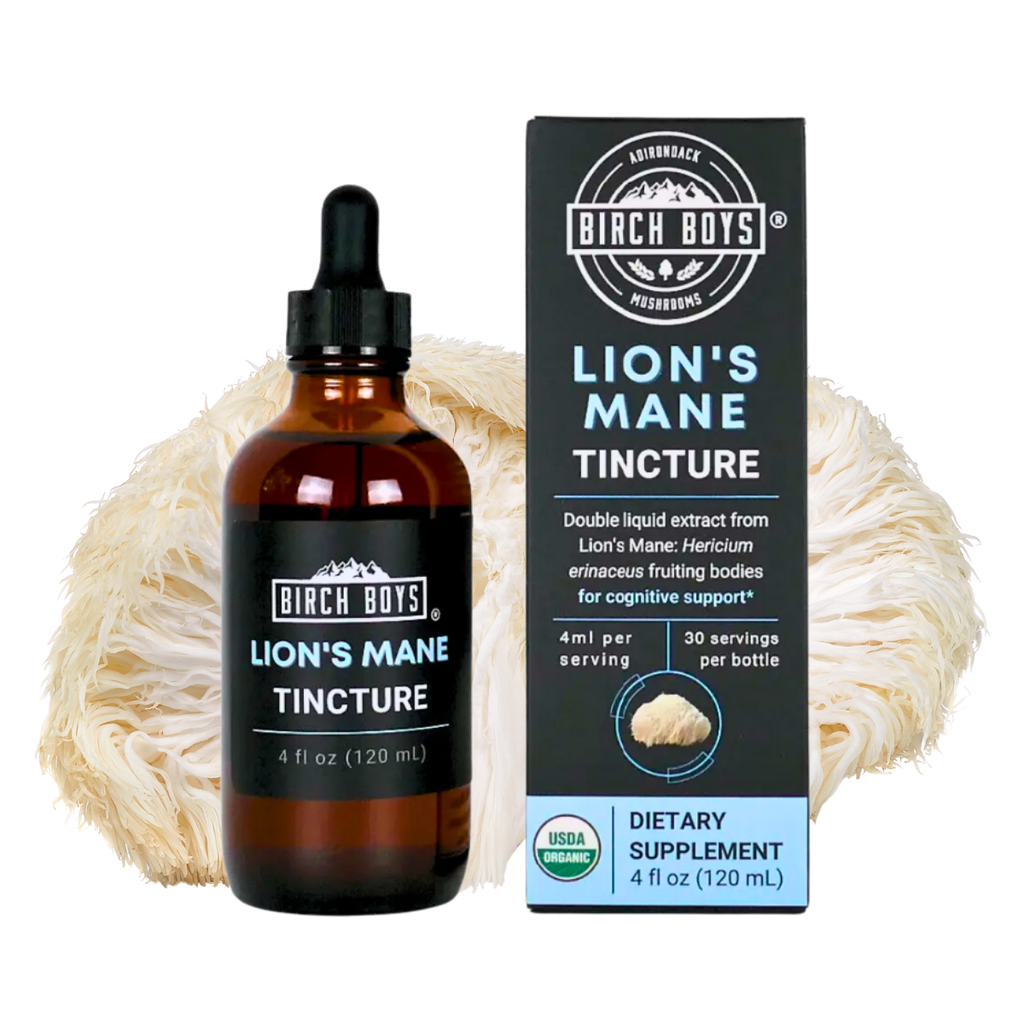 Organic Lion's Mane Dual Extract Tincture | Birch Boys