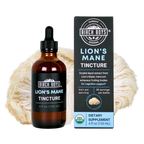 Organic Lion's Mane Dual Extract Tincture | Birch Boys