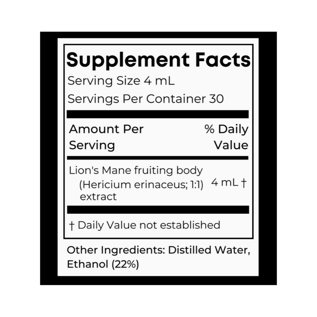 Organic Lion's Mane Dual Extract Tincture | Birch Boys