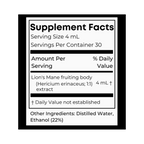 Organic Lion's Mane Dual Extract Tincture | Birch Boys