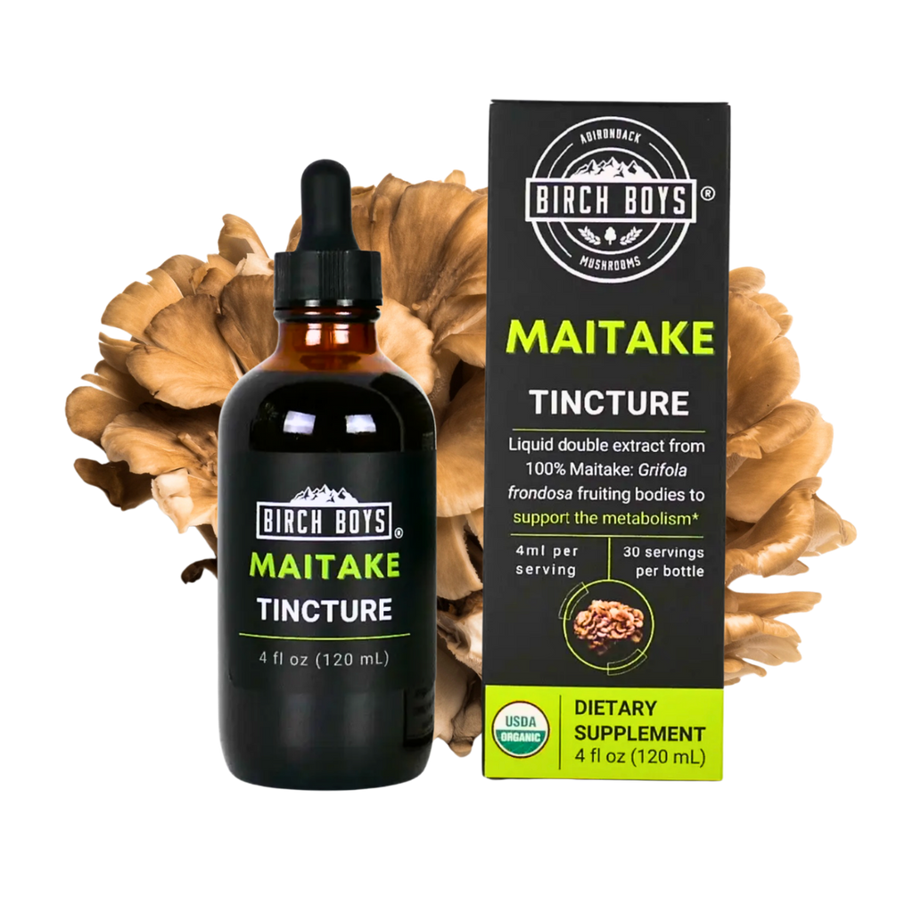 Organic Maitake Dual Extract Tincture | Birch Boys