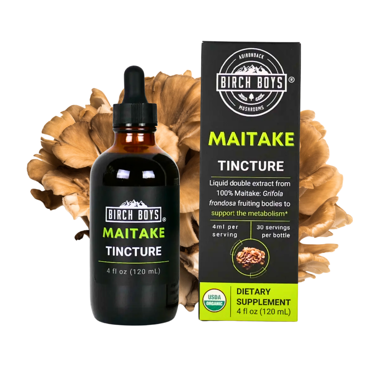 Organic Maitake Dual Extract Tincture | Birch Boys