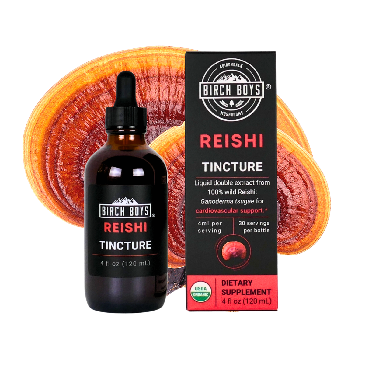 Organic Wild Reishi Dual Extract Tincture | Birch Boys