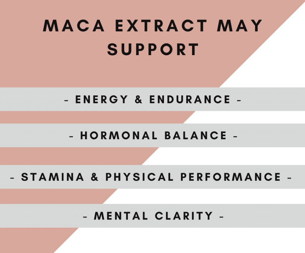 Organic Maca Extract Powder - 3.52 oz