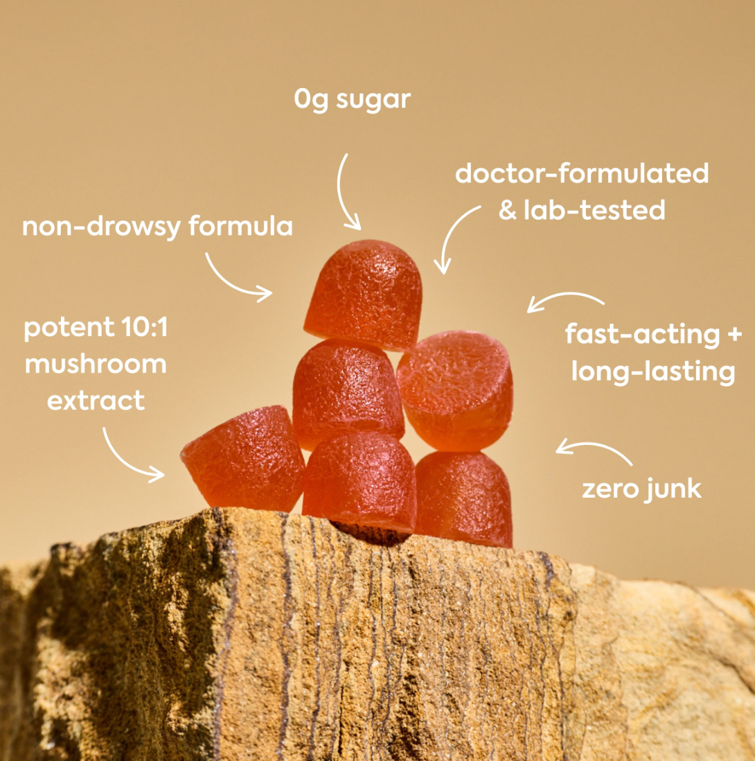 WonderCalm Mushroom Gummies
