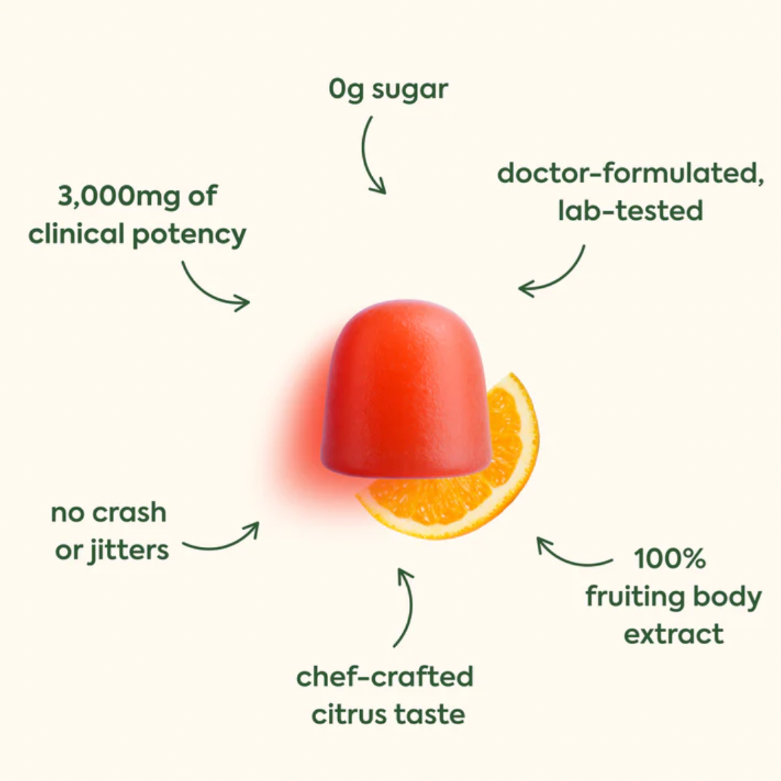 WonderFocus Super Mushroom Gummies