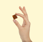 WonderBee + Mushroom Chews
