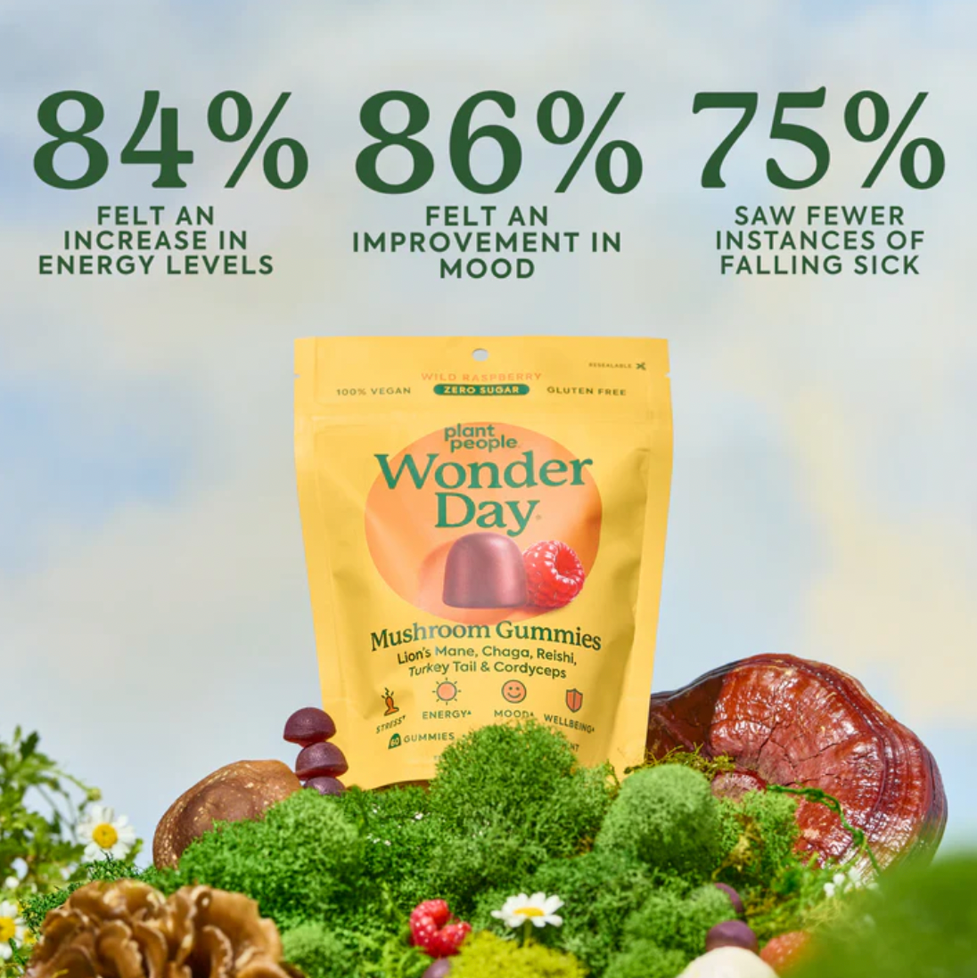 WonderDay Super Mushroom Gummies