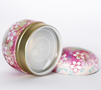 Stainless Steel Tea Container