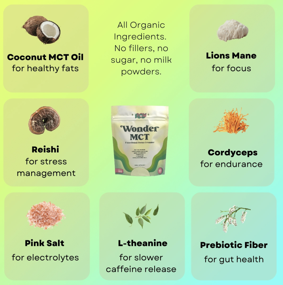 Wonder MCT | Adaptogenic Focus Creamer with Mushrooms