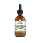 Organic Extra Strength Lion's Mane Tincture - 2 oz