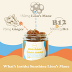 Sunshine Lion's Mane | Mushroom Honey Gummy | Focus, Clarity & Bright Daily Energy