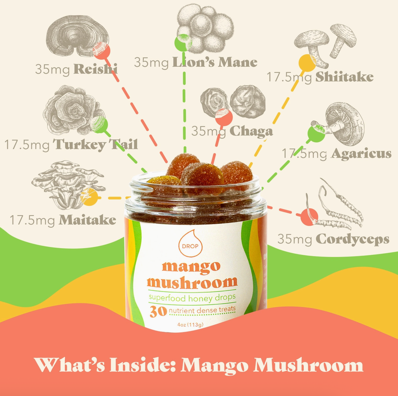 Mango Mushroom | Mushroom Honey Gummy | Immune Support, Daily Relief & Adaptogenic Balance