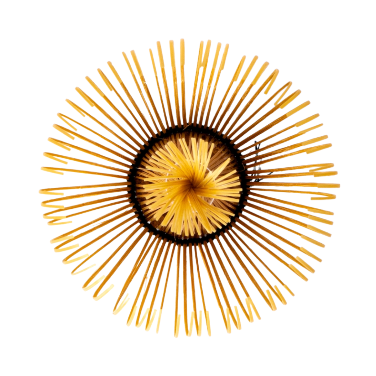 Bamboo Matcha Whisk | Shin Chasen | 80 Prong