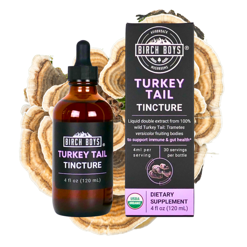 Organic Turkey Tail Dual Extract Tincture | Birch Boys