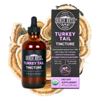 Organic Turkey Tail Dual Extract Tincture | Birch Boys