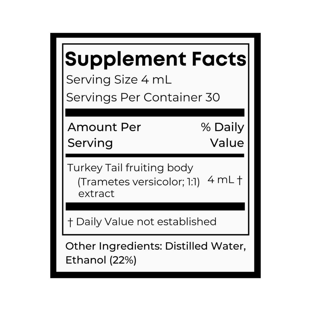 Organic Turkey Tail Dual Extract Tincture | Birch Boys