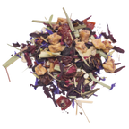 Elderberry Wellness
