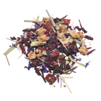 Elderberry Wellness
