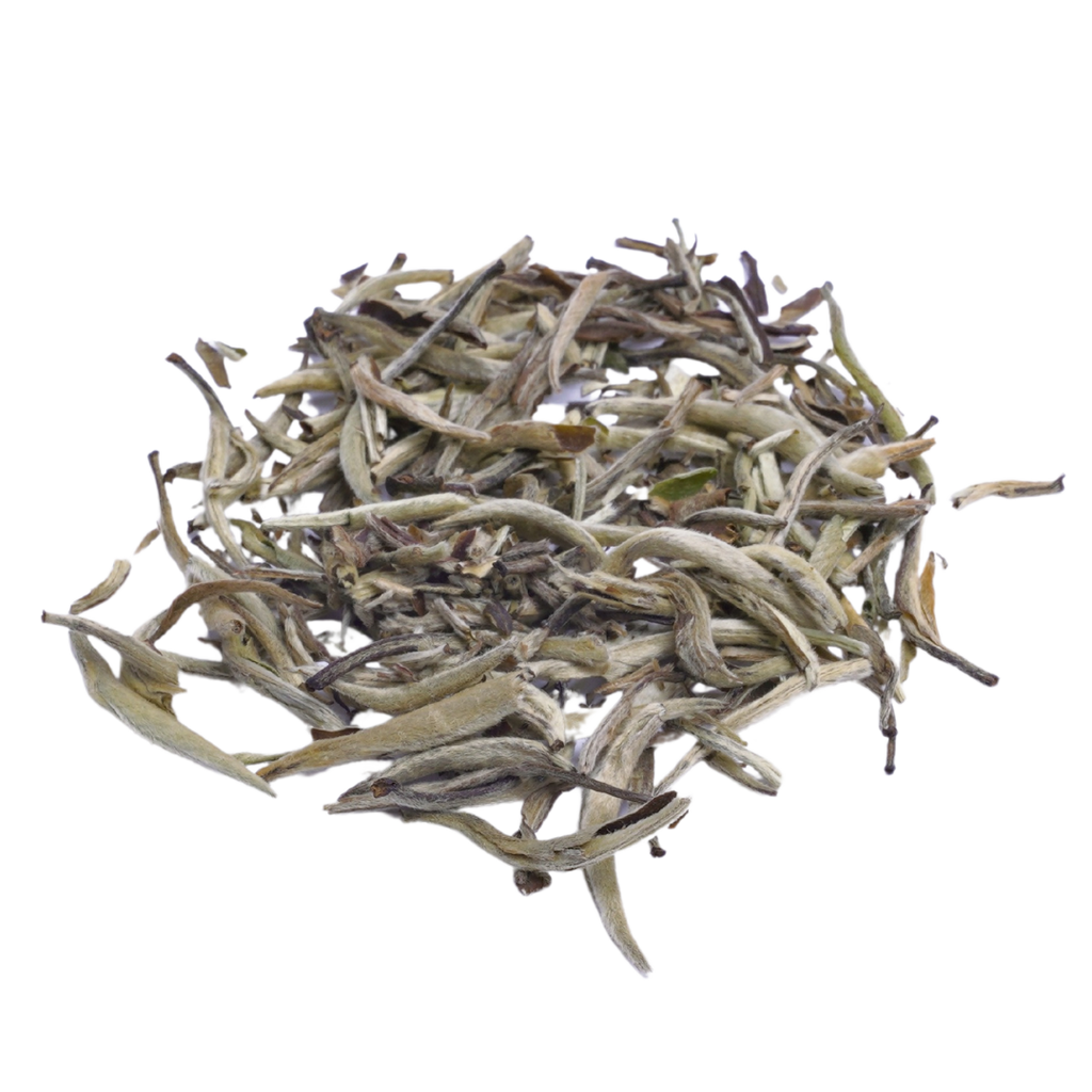 Jasmine Silver Needle