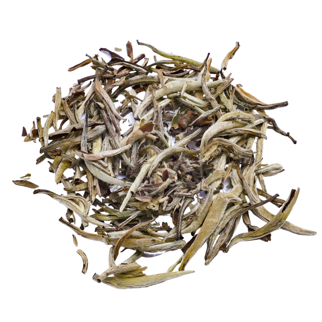 Jasmine Silver Needle