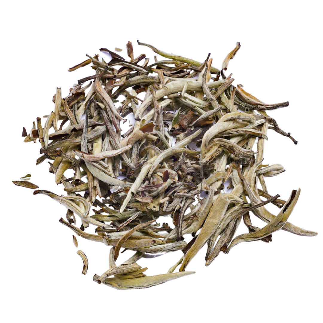 Jasmine Silver Needle