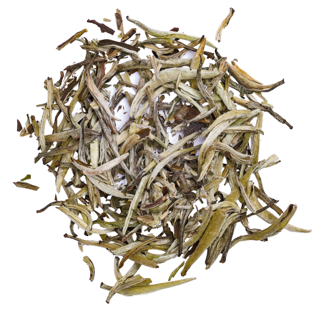 Jasmine Silver Needle