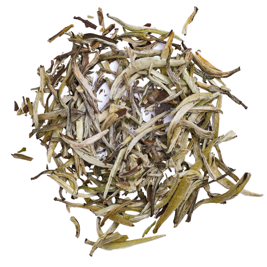 Jasmine Silver Needle