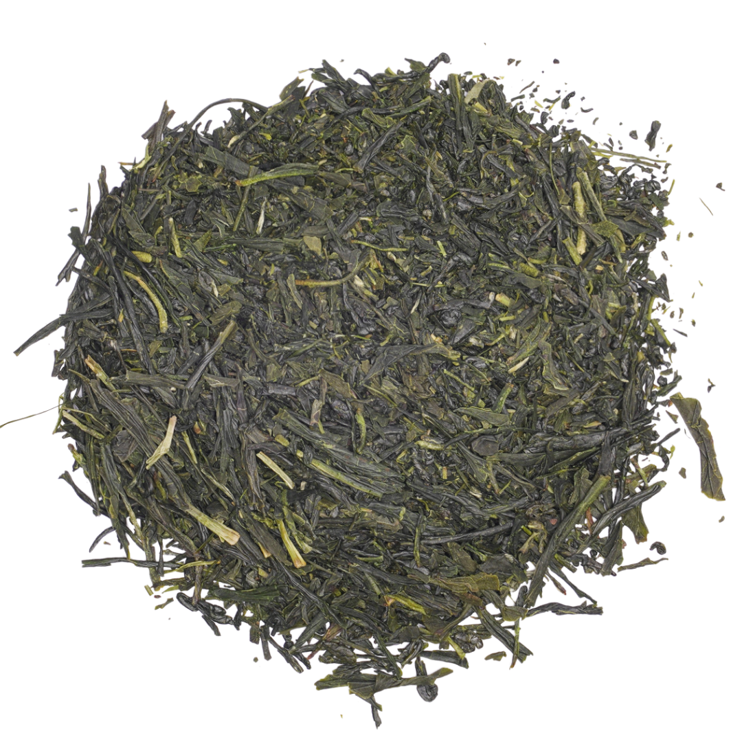 Sencha Overture