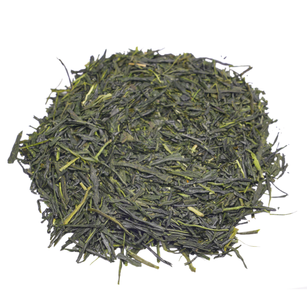 Sencha Premier