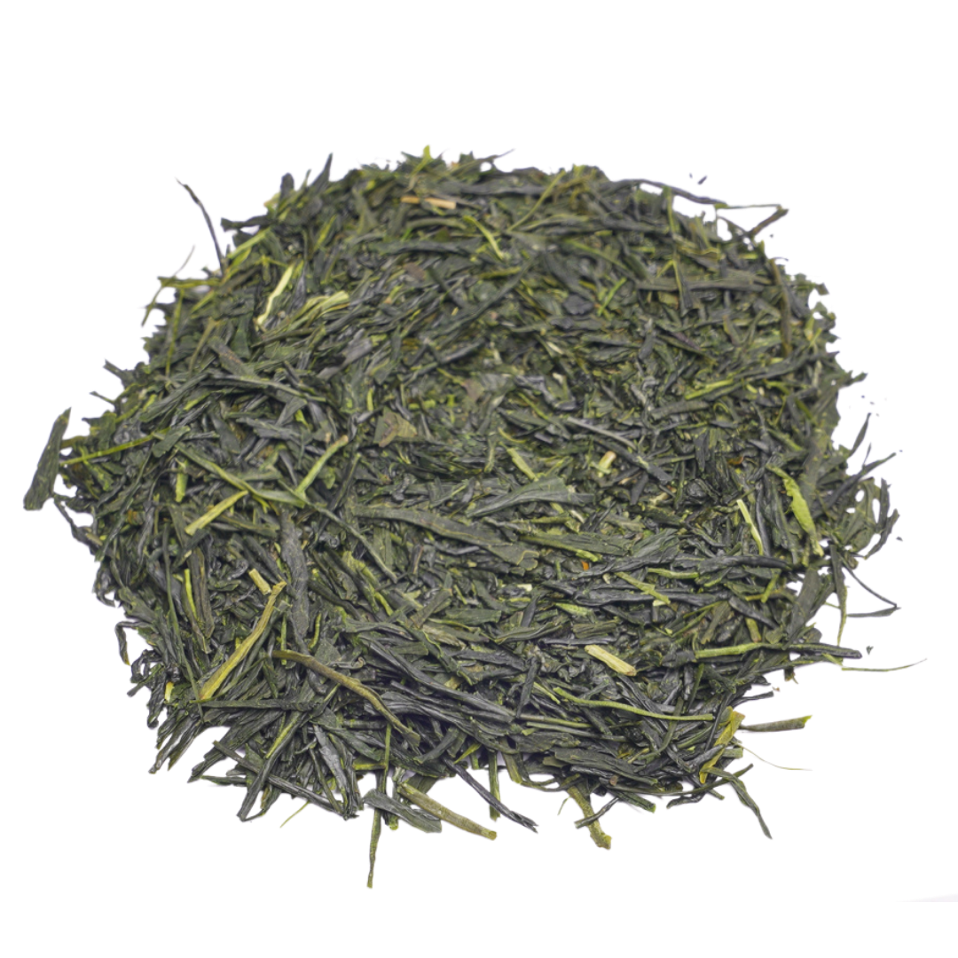 Sencha Premier