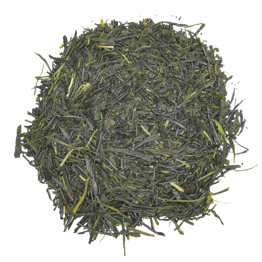 Sencha Premier