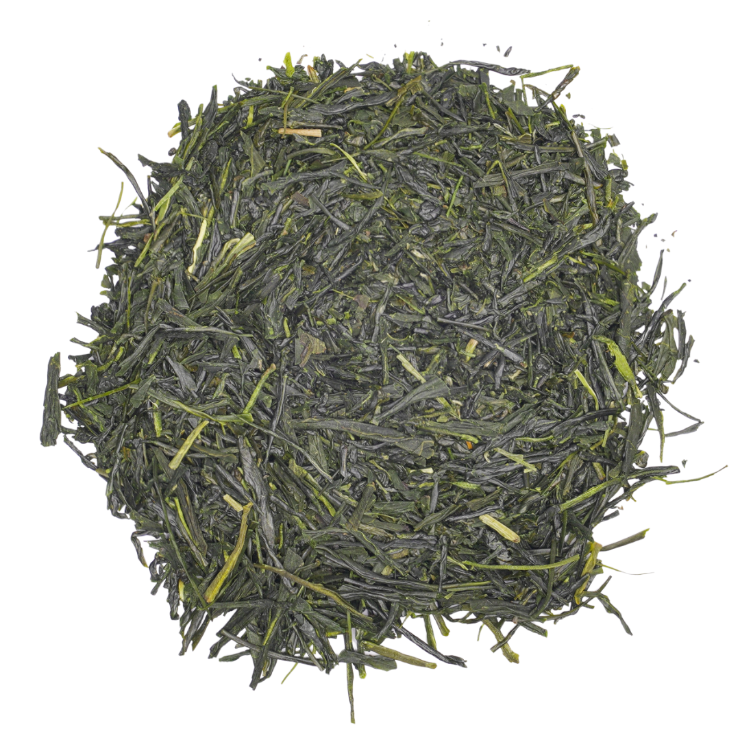 Sencha Premier