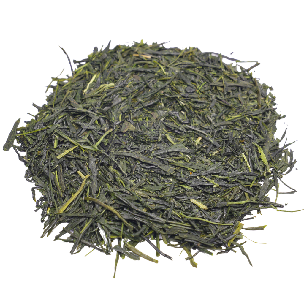 Sencha Premier