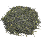 Sencha Premier