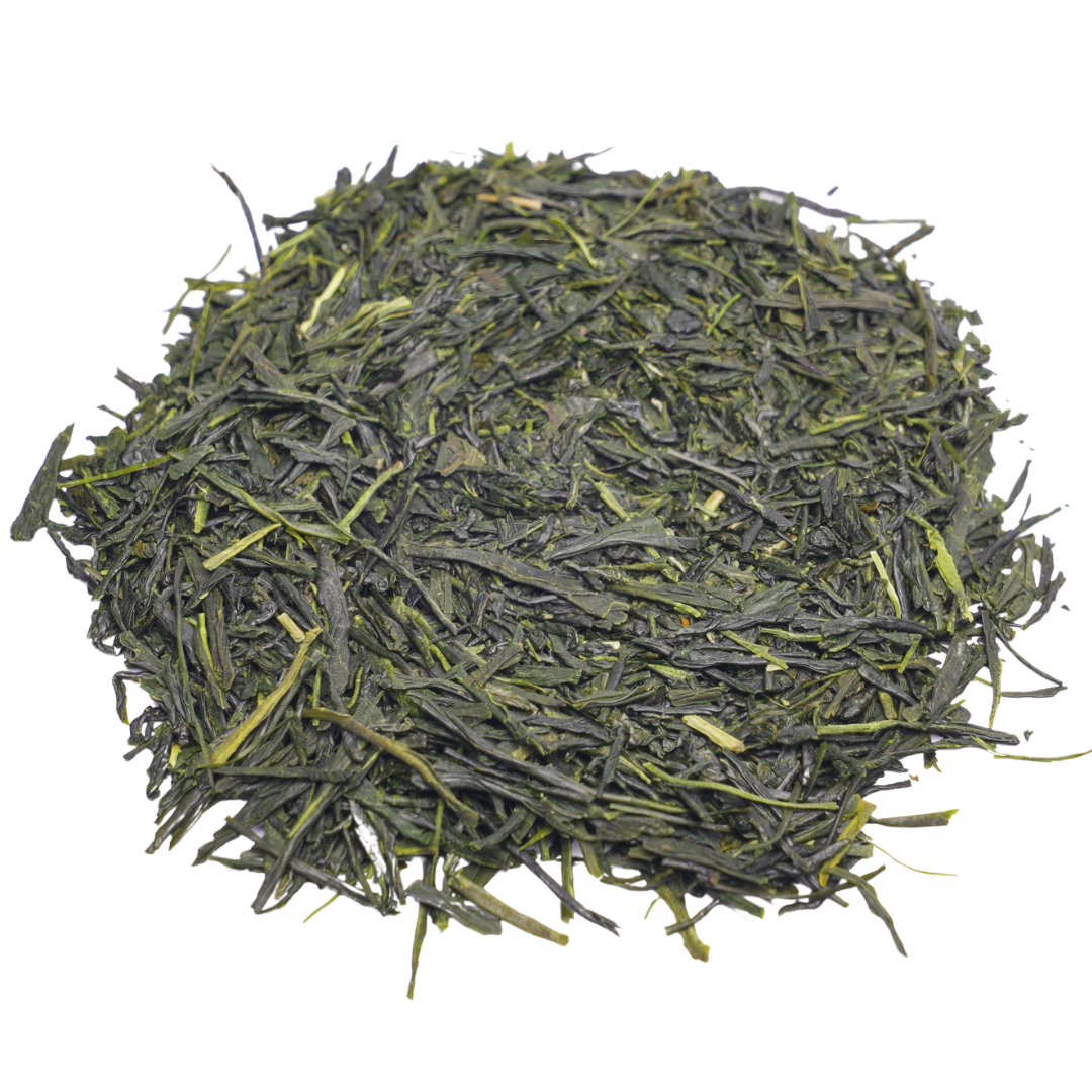 Sencha Premier
