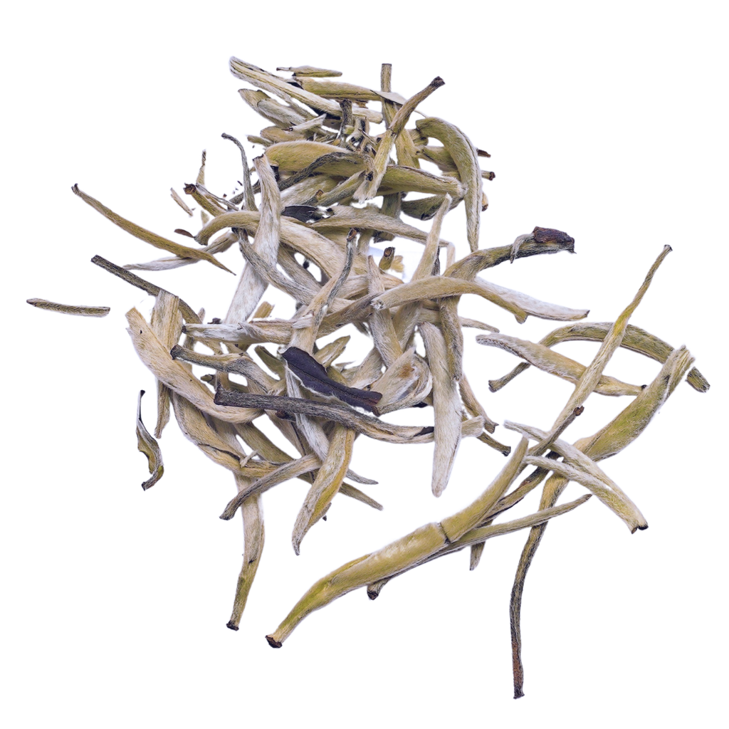 Silver Needle