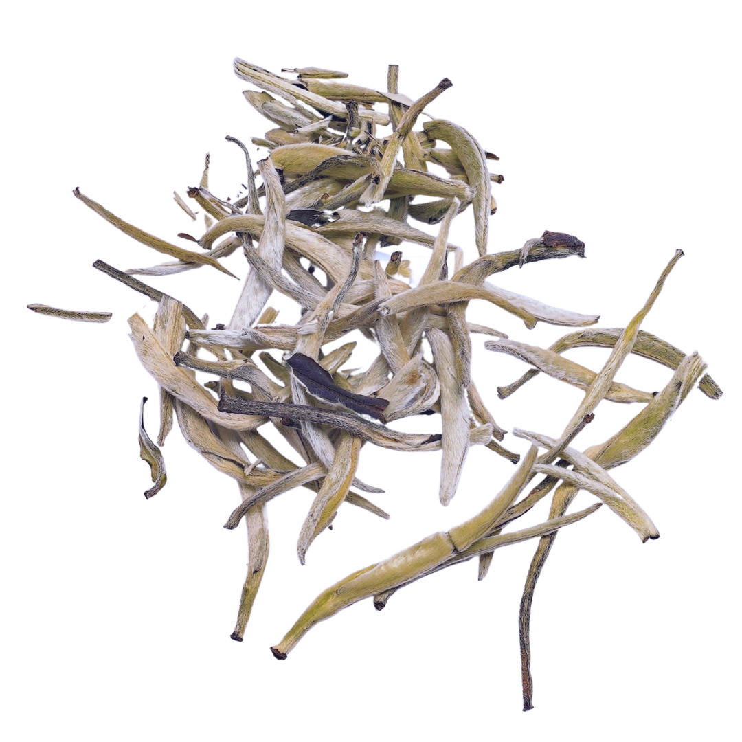 Silver Needle
