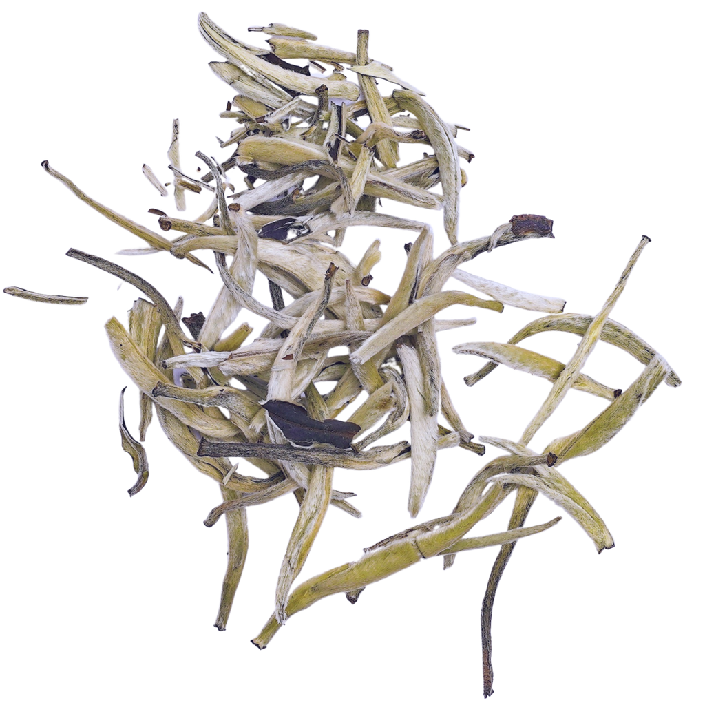 Silver Needle