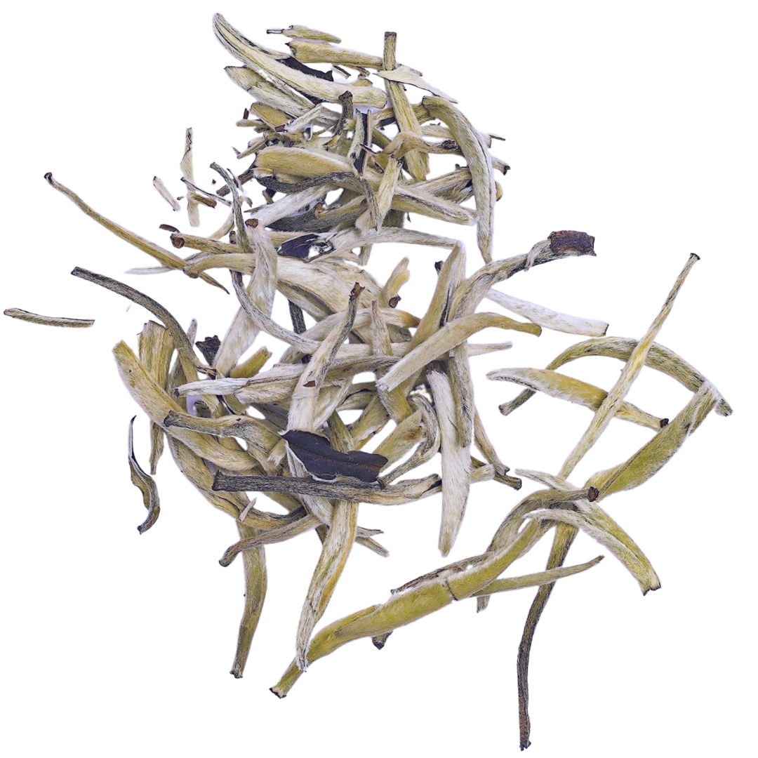 Silver Needle